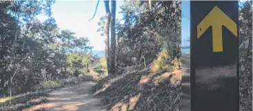  ?? Picture: DANIEL BATEMAN ?? SCENIC PANORAMA: The Yellow Arrow walking track at Mt Whitfield National Park offers views out over the city, airport and Trinity Bay.