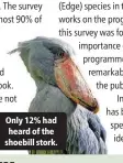  ??  ?? Only 12% had heard of the shoebill stork.