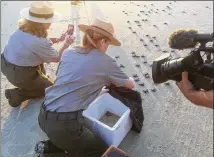  ?? NATIONAL PARK SERVICE ?? Crews film the release of Kemp’s ridley sea turtles at Padre Island National Seashore.