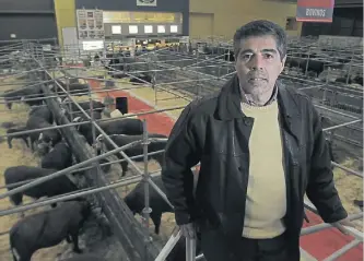  ??  ?? Mediano plazo. Cócaro, de Braford, remarcó la apuesta de los productore­s por los próximos tres años.