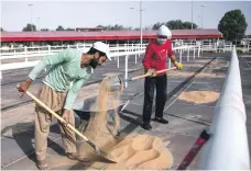  ?? Photos Victor Besa / The National ?? Workers prepare Boutheib Endurance Village for the races, which include a medical for horses