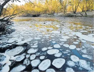  ?? Picture: PAUL KINGSTON/NNP ?? Ice patches looking like water lilies on the River Tees in County Durham yesterday