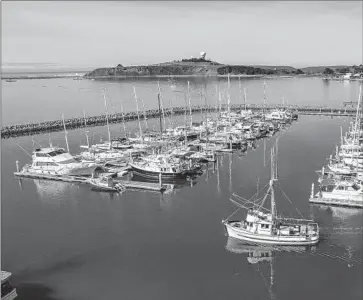  ?? LOREN ELLIOTT FOR THE TIMES ?? A FISHING BOAT motors out from Pillar Point Harbor in Half Moon Bay, Calif. The Pacific Fishery Management Council recently extended the shutdown of the crucial fall-run salmon fishing season for 2024.