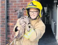  ?? ?? Firefighte­r Danielle Burgess with the rescued dog