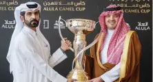  ?? Supplied ?? Interior Minister Prince Abdulaziz bin Saud bin Naif presents a trophy.