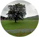  ??  ?? An open field occupies the area north of Masterton where Tiraumea School once stood.