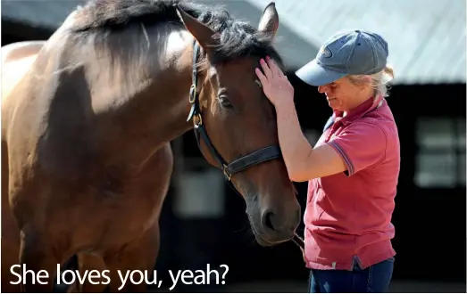  ??  ?? Get to know your horse — some like a good scratch, while others don’t