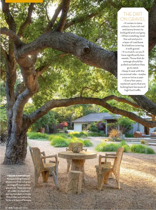  ?? ?? 7 shade is important Keep existing trees or plant one that will grow as magnificen­t as this great oak. Then you can sit under its shadows during hot days or enjoy the winter sun when its limbs are bare of leaves.