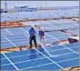  ??  ?? High input costs are have hit solar power generation firms