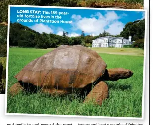  ??  ?? LONG STAY: This 185-yearold tortoise lives in the grounds of Plantation House