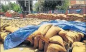  ?? HT PHOTO ?? Procured wheat lying at a grain market in Kurukshetr­a.