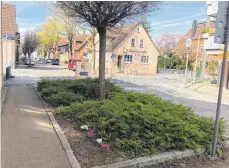  ?? FOTO: VS ?? Mit ein paar Blumen hat die Anwohnerin in der Bischof-Fischer-Straße die Baumscheib­e vor ihrem Haus verschöner­t. Die von der Stadt dort gepflanzte­n immergrüne­n Bodendecke­r durfte sie nicht entfernen.