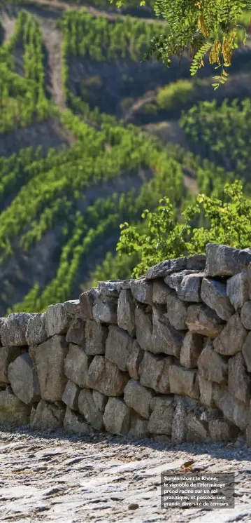  ??  ?? Surplomban­t le Rhône, le vignoble de l’Hermitage prend racine sur un sol granitique, et possède une grande diversité de terroirs.