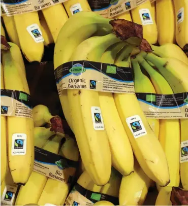  ?? Foto: dpa/Wolfgang Krumm ?? Fairtrade-Bananen im Supermarkt – das löst nicht nur Begeisteru­ng aus.