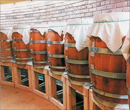  ?? PHOTO PROVIDED ?? Barrels of kombucha are lined up at the Yesfolk Tonics brewery in Troy.