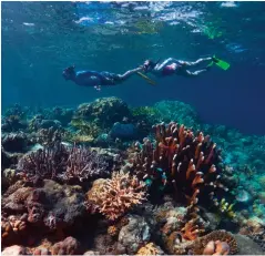  ??  ?? Left: Snorkellin­g and diving are favourite pursuits.