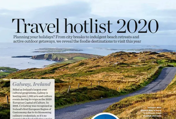  ??  ?? Ireland’s Wild Atlantic Way is home to brilliantl­y fresh shellfish and lamb