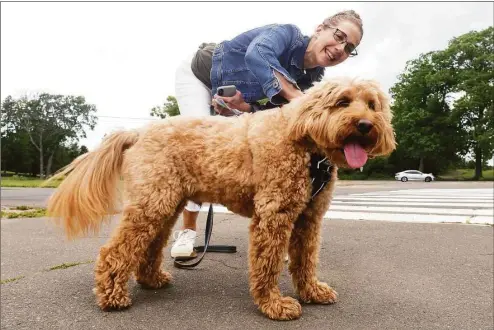  ?? Ned Gerard / Hearst Connecticu­t Media ?? Ellyn Weitzman walks her goldendood­le Mookie at Longshore Club Park in Westport on Wednesday. Improvemen­ts to the town dog park are among a number of proposals Weston is considerin­g funding through federal ARPA funds.