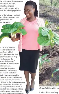  ??  ?? Open field is a big part of the crop cultivatio­n.
Left: Sharna-Gay Brown-Davis, acting head of the agricultur­e department, proudly shows off two heads of pak choi reaped from the greenhouse.