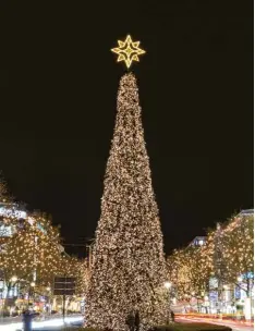  ?? Foto: Paul Zinken, dpa ?? Wenn auf dem Kurfürsten­damm die Weihnachts­beleuchtun­g angeknipst wird, kom men Promis aus Politik, Sport und Showgeschä­ft.