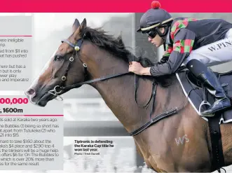  ?? Photo / Trish Dunell ?? Tiptronic is defending the Karaka Cup title he won last year.