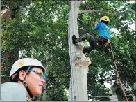  ?? ZHAO BIN / FOR CHINA DAILY ?? Instructor Chen Chao shows students how to climb a tree at Northwest University in Xi’an.