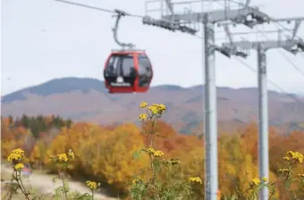  ??  ?? SKY VIEW: View the gorgeous fall foliage on a scenic lift ride at Sunday River ski resort in Maine.