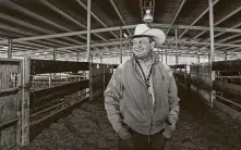  ?? Jon Shapley / Staff file photo ?? Joel Cowley’s last day as president and CEO of the Houston Livestock Show and Rodeo will be May 22.