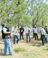  ?? / FRANCISO CARMONA ?? El vivero municipal cuenta con cerca de ocho hectáreas