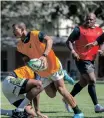  ?? ARMAND HOUGH (ANA) ?? PLAYERS such as Kurt-Lee Arendse can benefit if the Springboks are able to have more ball-in-play time in Test matches. | African News Agency