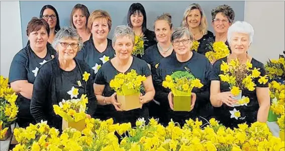  ??  ?? Members of the Stratford Daffodil Day committee were surrounded by the yellow flowers on Friday.