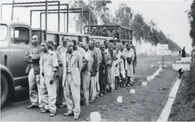  ?? ?? Two lorries which transporte­d Kikuyu people are at a reception camp outside Nairobi, Kenya, on April 28, 1954, after 5,000 British troops and 1,000 armed police rounded up some 30,000 to 40,000 men for screening. The sweep followed the breakdown of the surrender invitation launched by the authoritie­s after the capture of Mau Mau’s “General China”. At the reception camp many men were released after screening. Others were sent to detention camps by the sea.