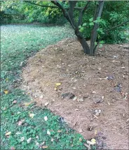  ?? PHOTO BY PAM BAXTER ?? Pine needles make a fine and sweet-smelling mulch.