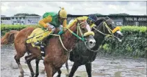  ??  ?? Ganador. Rindygo (i) superó por mínima a Arrogante en el “Marcial Romero Palomo”.