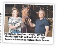  ?? Picture: Kevin Farmer ?? Father and daughter trainers Tony and Maddy Sears with Yellow Brick at their Toowoomba stables.