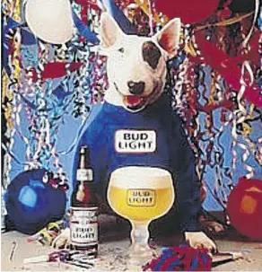  ??  ?? The Coalition for Responsibl­e Cannabis Branding has proposed guidelines suggesting there would probably be no pitchmen like “Spuds MacKenzie,” a bull terrier used for Bud Light beer ad campaigns in the 1980s.