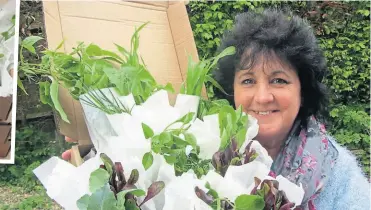  ?? ?? Pippa Greenwood with a selection of plants available. Choose up to 10 different veg to grow. Informatio­n on space/container required is given against choice on the website.