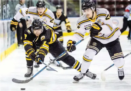  ??  ?? Grizzlies forward Cam Thompson breaks past Express forward Jack Cameron at The Q Centre on Friday.