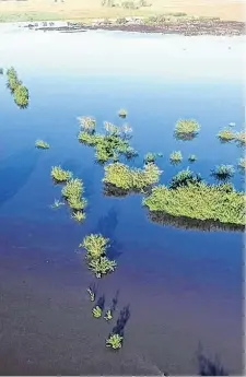  ?? TÉLAM ?? Una imagen aérea de los terrenos inundados en Salto.