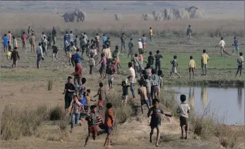  ?? PICTURES: ASSOCIATED PRESS ?? Indian villagers watch as a herd of wild elephants walks towards them in Kurkuria village, India. At least 20 wild elephants from the nearby Amchang Wildlife Sanctuary were sighted searching for food in the village.