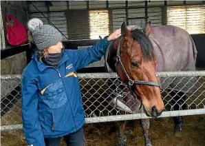  ?? JAMIE SEARLE/ STUFF ?? Trainer Jo Gordon and her 11-yearold racehorse The Gordonian in Invercargi­ll.