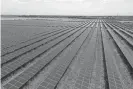  ?? AARON E. MARTINEZ/AMERICAN-STATESMAN ?? The East Blackland Solar Project, also known as the Pflugervil­le Solar Farm, is an operating 144-megawatt solar farm near Manor and Pflugervil­le.