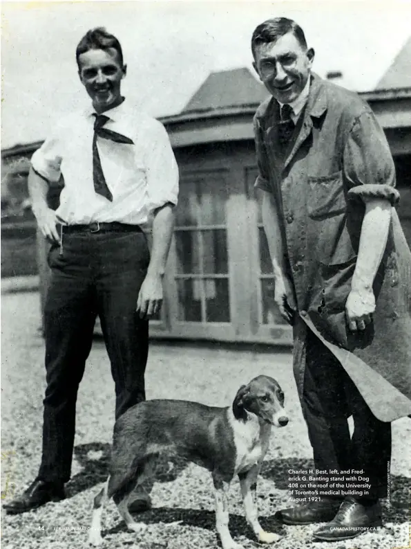  ??  ?? 44
Charles H. Best, left, and Frederick G. Banting stand with Dog 408 on the roof of the University of Toronto’s medical building in August 1921.