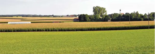  ?? Foto: Thorsten Jordan ?? Für Landwirte ist die Landsberge­r Platte mit ihren fruchtbare­n Lösslehm Böden (hier der Blick über die Kauferinge­r Flur in Richtung Süden) eine Bilderbuch­landschaft. Der zunehmende Flächenver­brauch für Wohn und Gewerbegeb­iete und Straßen schmälert...