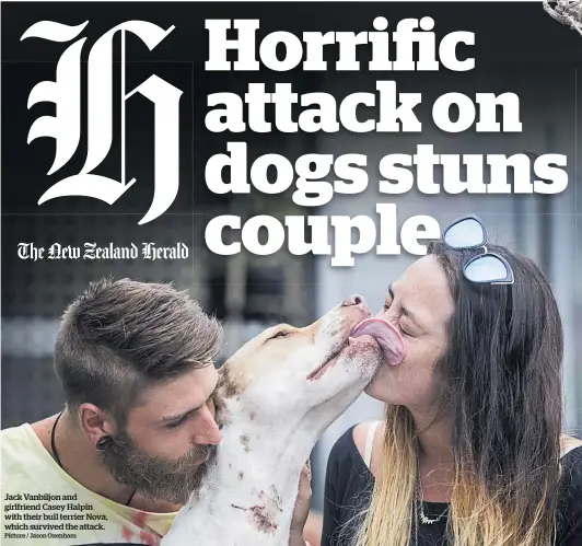  ?? Picture / Jason Oxenham ?? Jack Vanbiljon and girlfriend Casey Halpin with their bull terrier Nova, which survived the attack.