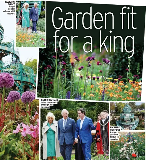  ?? ?? TALKING POINT Royal couple admire wild flowers
GUIDE Diarmuid talks the royals through his designs