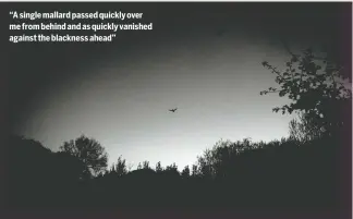  ?? ?? “A single mallard passed quickly over me from behind and as quickly vanished against the blackness ahead”