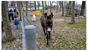  ??  ?? Les animaux de la mini-ferme vous attendent.