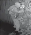  ??  ?? CCTV footage captures what appears to be a person going through a mailbox in New Lynn.