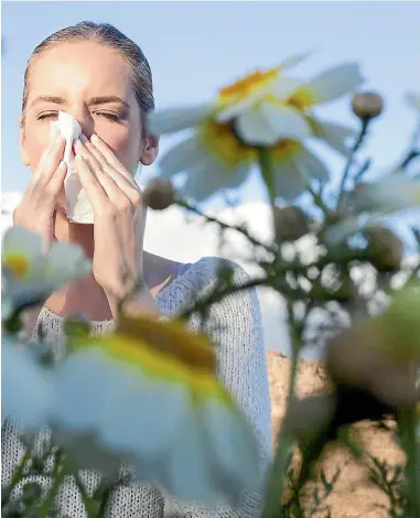  ??  ?? New Zealand’s beautiful natural environmen­t could be partly to blame for your hay fever.